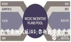 伤心的/探索TP钱包下载测试版iOS：你的数字资产