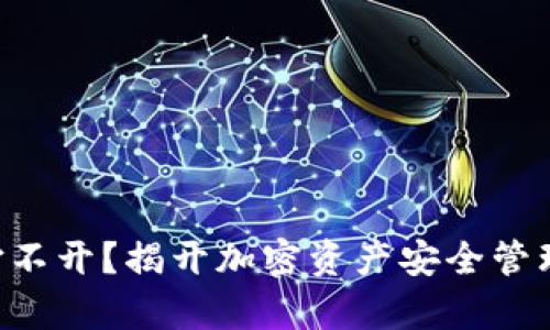 “冷钱包打不开?揭开加密资产安全管理的真相!”