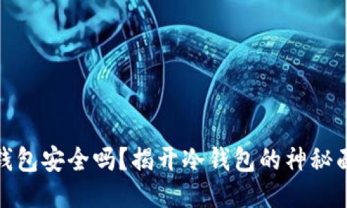 冷钱包安全吗?揭开冷钱包的神秘面纱