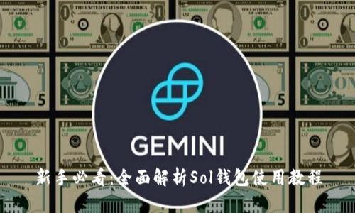 新手必看:全面解析Sol钱包使用教程