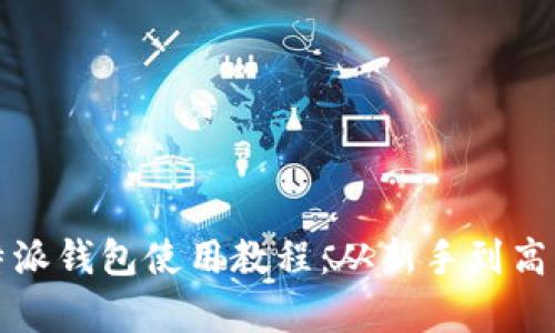全面详解比特派钱包使用教程：从新手到高手的视频教学