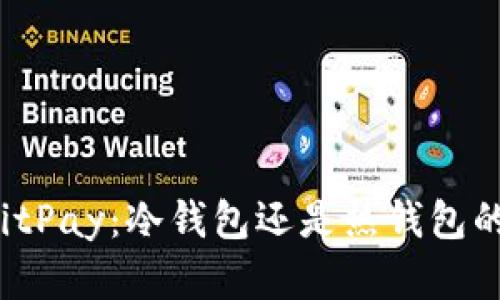深入探讨BitPay:冷钱包还是热钱包的最佳选择?