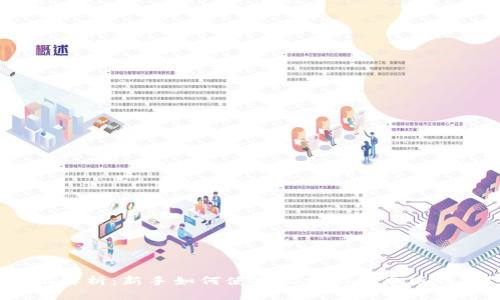全面解析:新手如何使用比特派安卓版钱包?