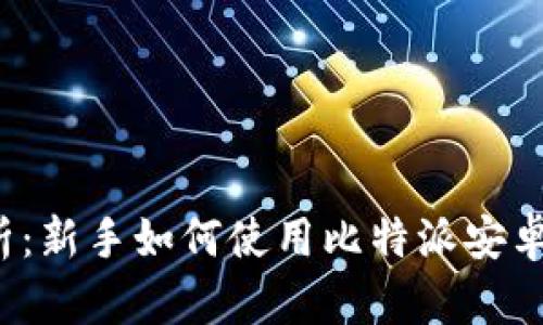 全面解析:新手如何使用比特派安卓版钱包?