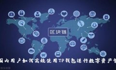 : 国内用户如何高效使用TP钱包进行数字资产管理