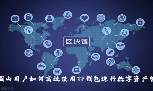 : 国内用户如何高效使用TP钱包进行数字资产管理