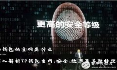 tp钱包的主网是什么深入解析TP钱包主网：安全、