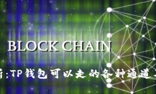 全面解析:TP钱包可以走的各种通道及其优势