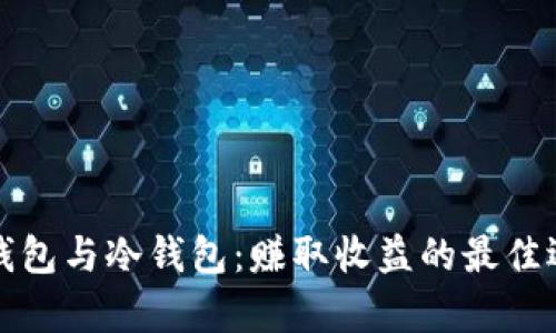 挖矿热钱包与冷钱包:赚取收益的最佳选择解析