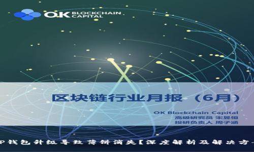 TP钱包升级导致薄饼消失？深度解析及解决方案