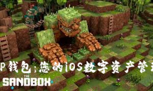 探索TP钱包：您的iOS数字资产管理利器
