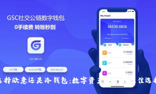 选择欧意还是冷钱包:数字资产安全的最佳选择