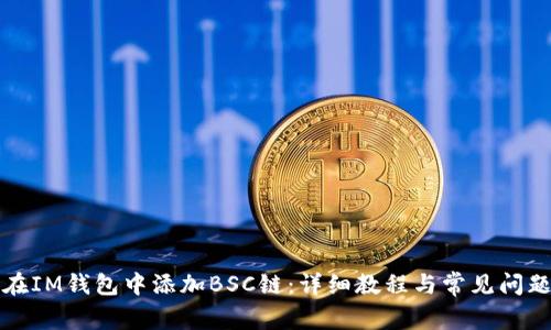 如何在IM钱包中添加BSC链:详细教程与常见问题解答