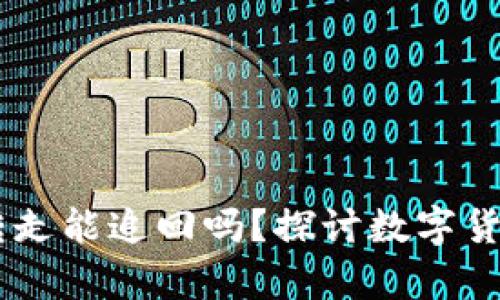 TP钱包USDT被转走能追回吗?探讨数字货币的安全与恢复