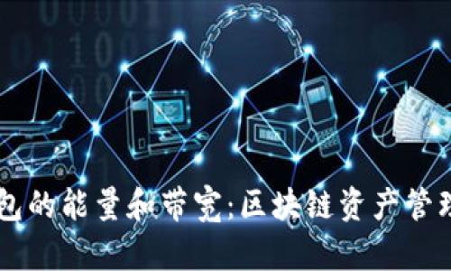 理解TP钱包的能量和带宽:区块链资产管理的新视角