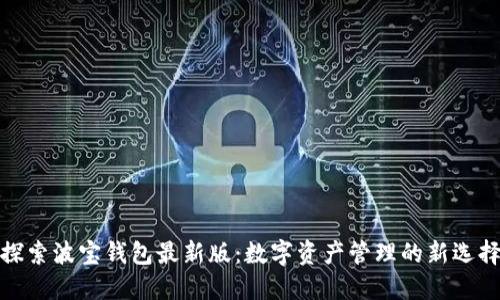探索波宝钱包最新版:数字资产管理的新选择