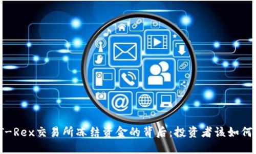 揭秘T-Rex交易所冻结资金的背后：投资者该如何应对？