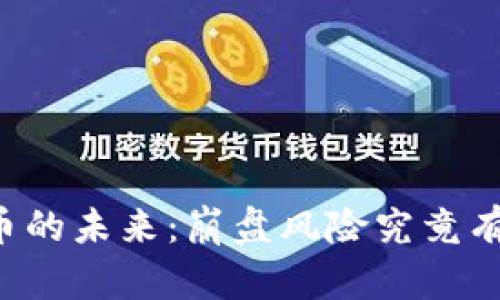 虚拟币的未来:崩盘风险究竟有多大?