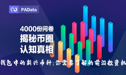TP钱包中的新兴币种:你需要了解的前沿投资机会