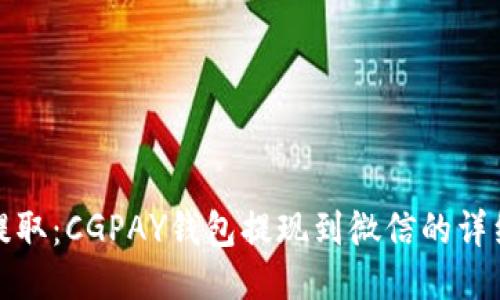 轻松提取:CGPAY钱包提现到微信的详细教程