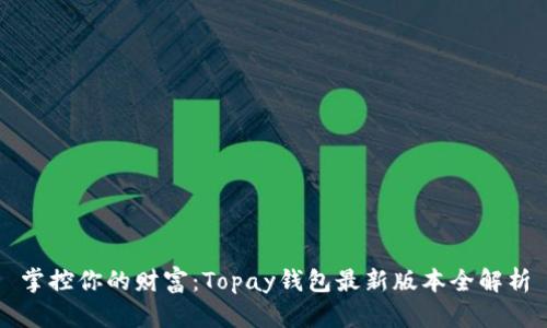 掌控你的财富：Topay钱包最新版本全解析