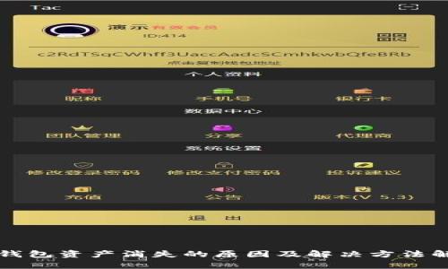 TP钱包资产消失的原因及解决方法解析