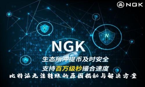 比特派无法转账的原因揭秘与解决方案