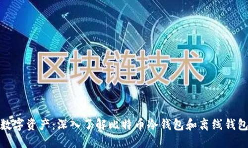 保护你的数字资产:深入了解比特币冷钱包和离线钱包的安全性
