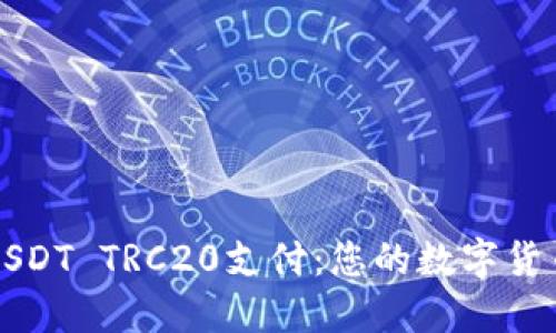 轻松掌握USDT TRC20支付:您的数字货币交易指南