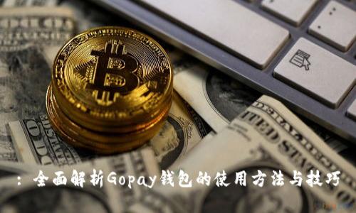: 全面解析Gopay钱包的使用方法与技巧