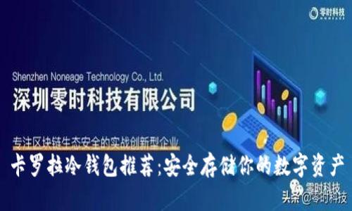 卡罗拉冷钱包推荐:安全存储你的数字资产