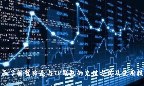 全面了解蓝贝壳与TP钱包的充值方式及使用技巧