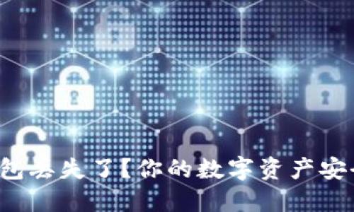 冷钱包丢失了?你的数字资产安全指南