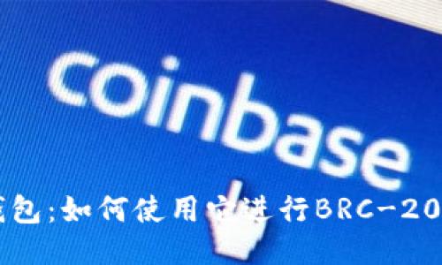 探索TP钱包：如何使用它进行BRC-20代币交易
