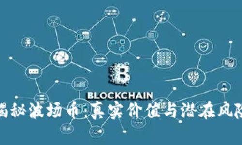 揭秘波场币:真实价值与潜在风险