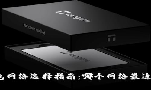 TP钱包网络选择指南:哪个网络最适合您?