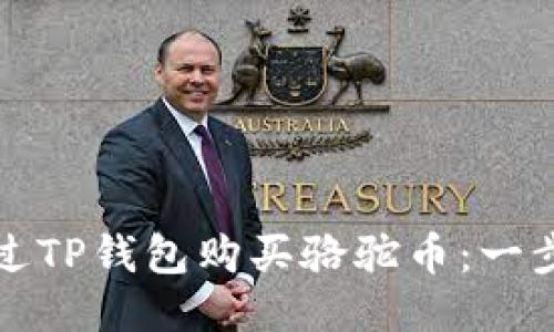 如何通过TP钱包购买骆驼币:一步步指南