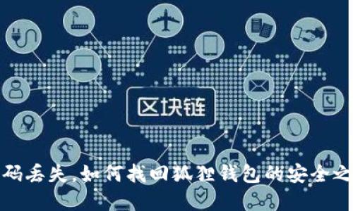 密码丢失,如何找回狐狸钱包的安全之路