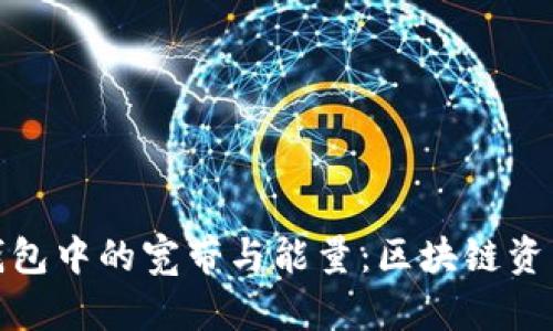 : 深入了解TP钱包中的宽带与能量:区块链资产管理的新维度