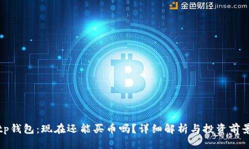 tp钱包:现在还能买币吗?详细解析与投资前景