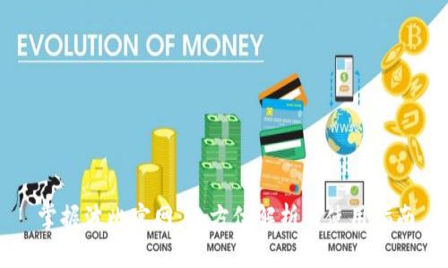 掌握波比官网:全方位解析与使用指南