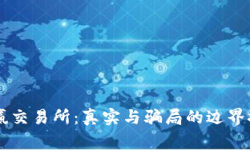 币赢交易所:真实与骗局的边界探索