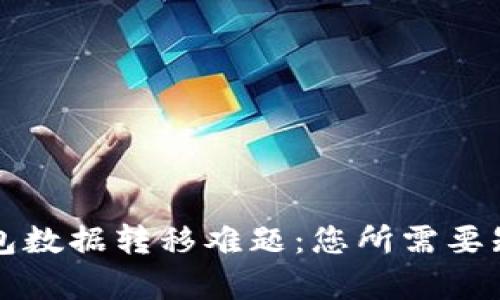 解析TP钱包数据转移难题:您所需要知道的一切
