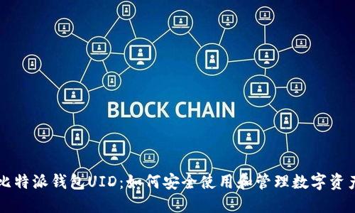 比特派钱包UID:如何安全使用和管理数字资产