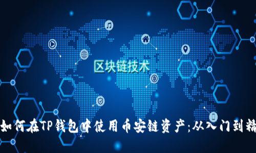   如何在TP钱包中使用币安链资产：从入门到精通