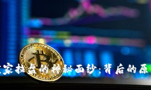 揭开虚拟币庄家拉盘的神秘面纱:背后的原理与操盘策略