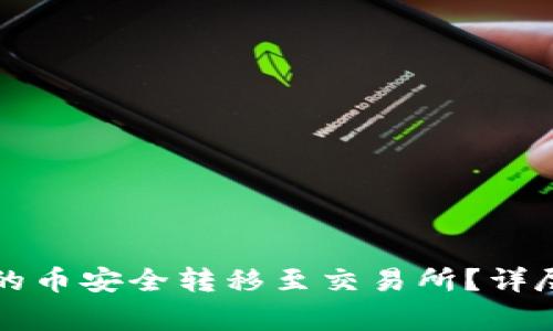 如何将TP钱包中的币安全转移至交易所?详尽指南与注意事项