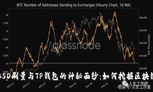 揭开BSD刷量与TP钱包的神秘面纱:如何挖掘区块链潜力
