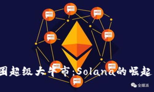 2025年币圈超级大牛市:Solana的崛起与未来发展