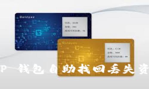如何使用 TP 钱包自助找回丢失资产的全攻略